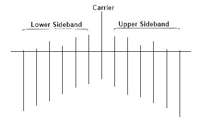 Bassel Function Graph
