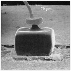 Tunnel Diode