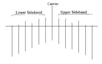 Bassel Function Graph